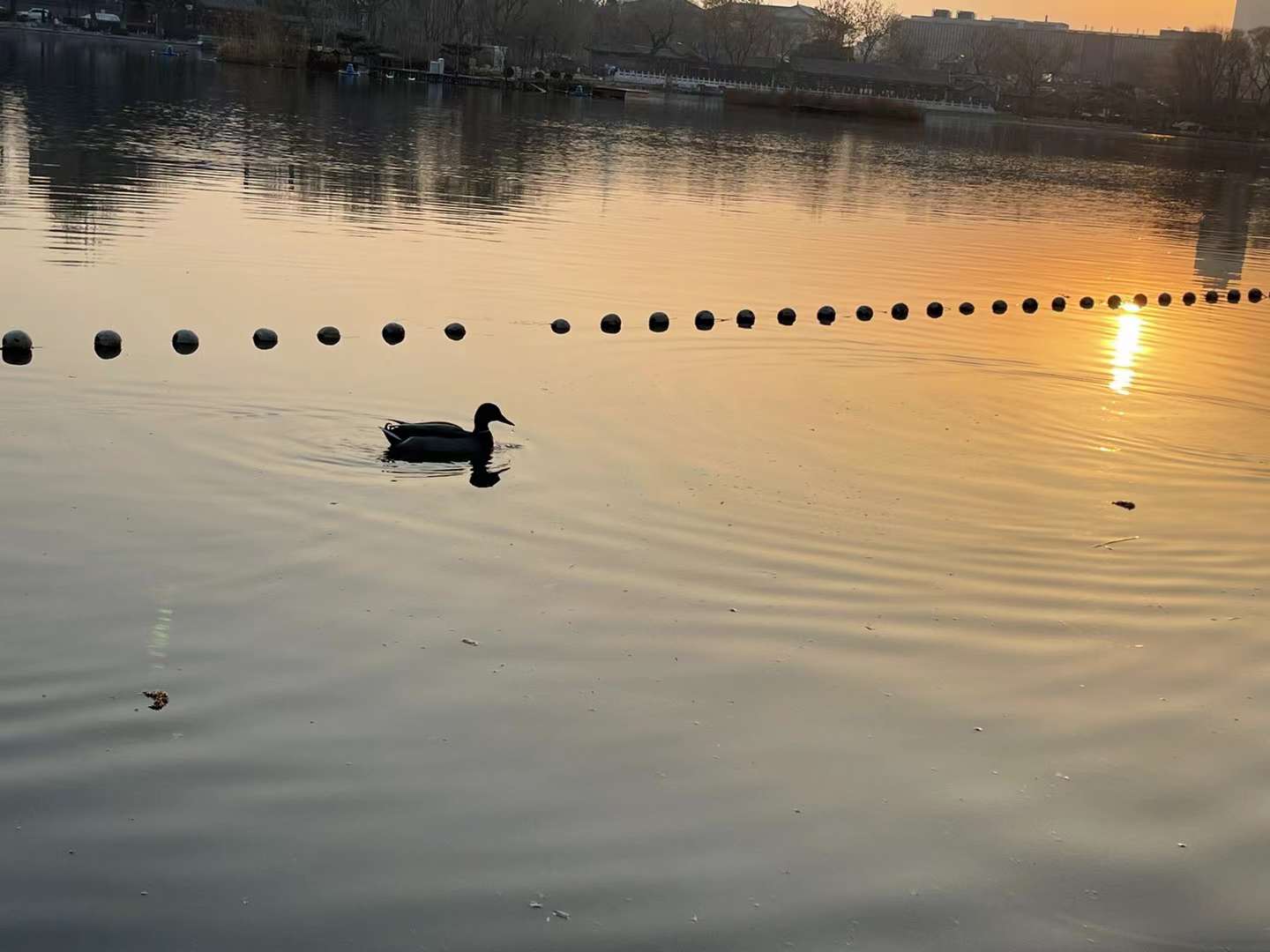 什刹海